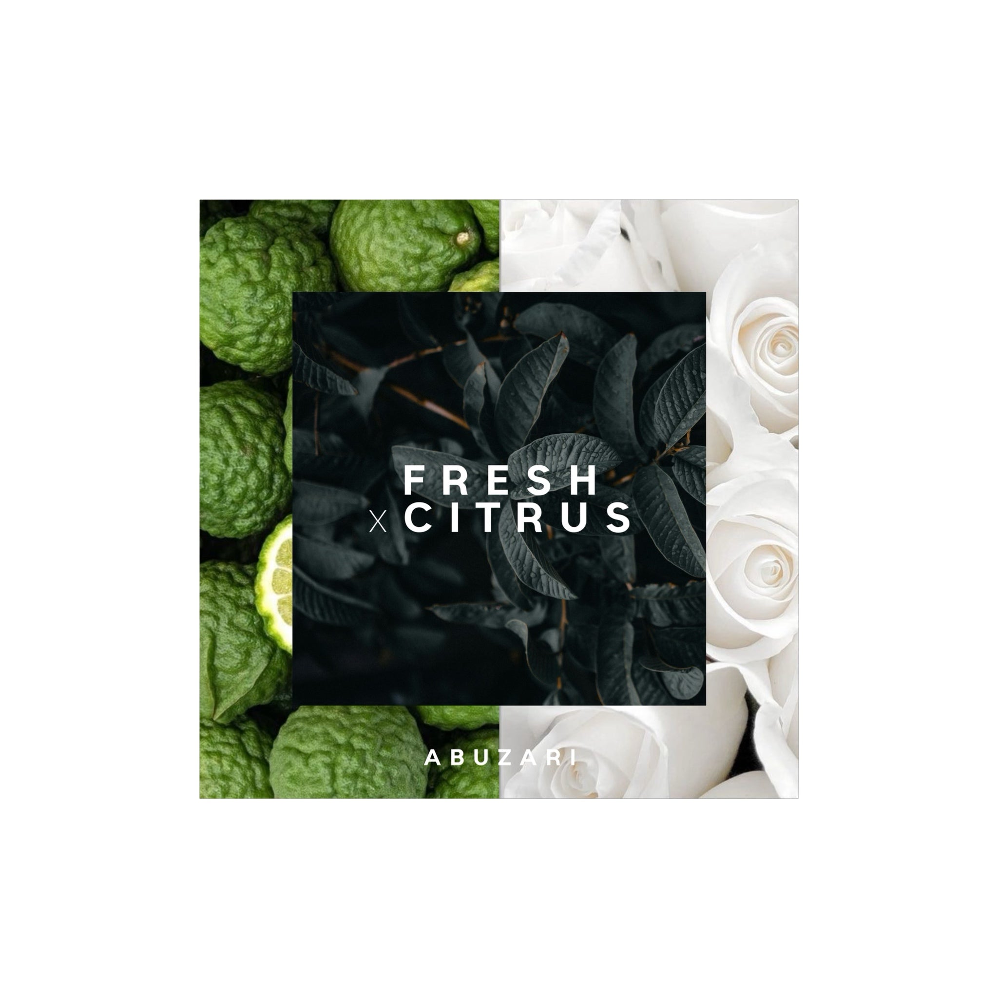 FRESH x CITRUSY