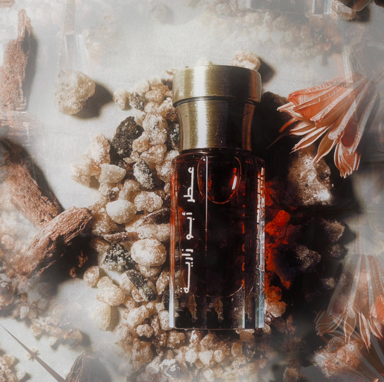 Türkish Rose Extrait | Amber Woody Attar – Abu Zari