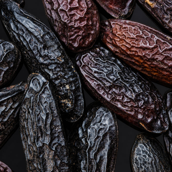 TONKA BEAN